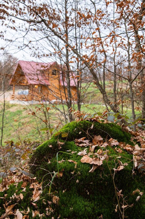 Brvnaria Villa Slatina Luaran gambar